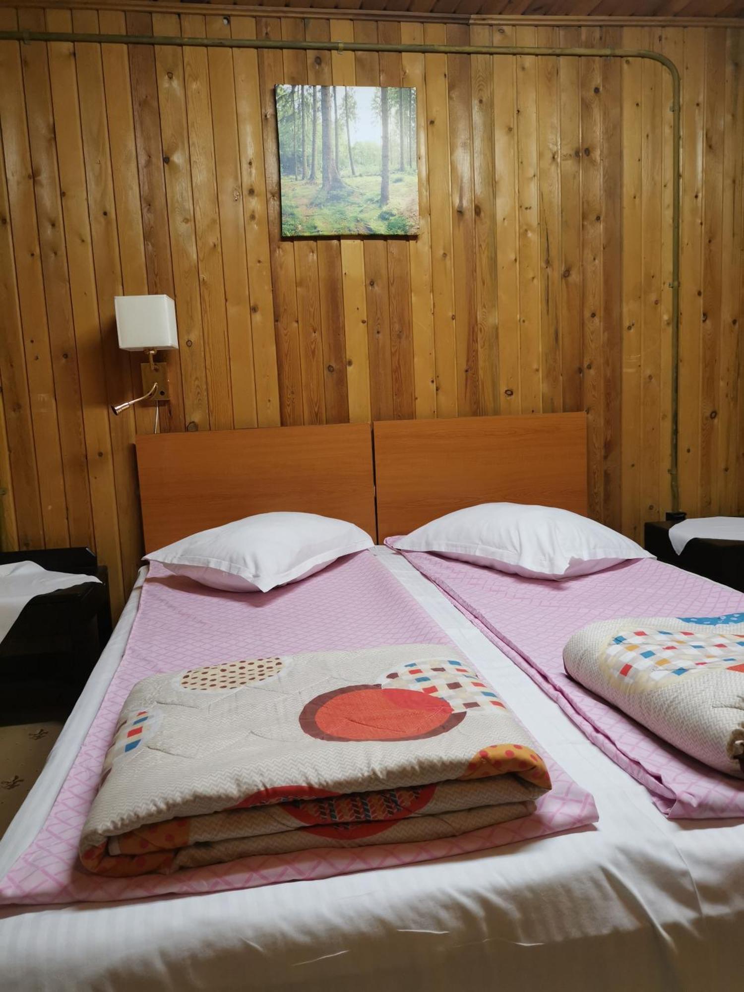 פויאנה ברשוב Cabana Fantanita Cu Brazi מראה חיצוני תמונה